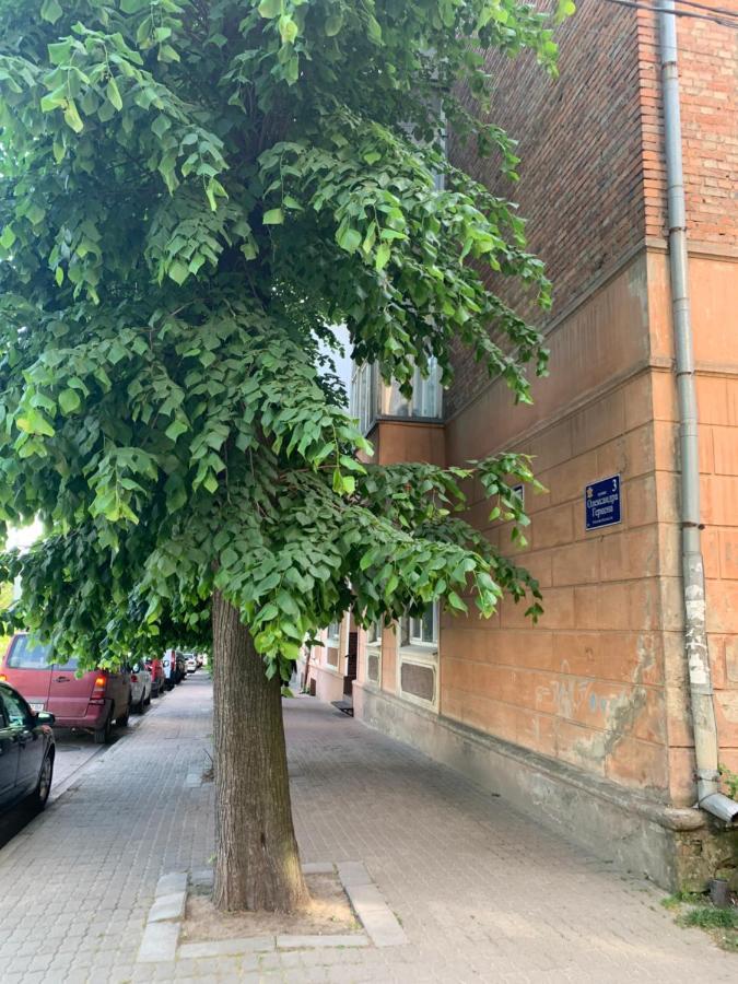 Apartment Vel люкс Chernivtsi